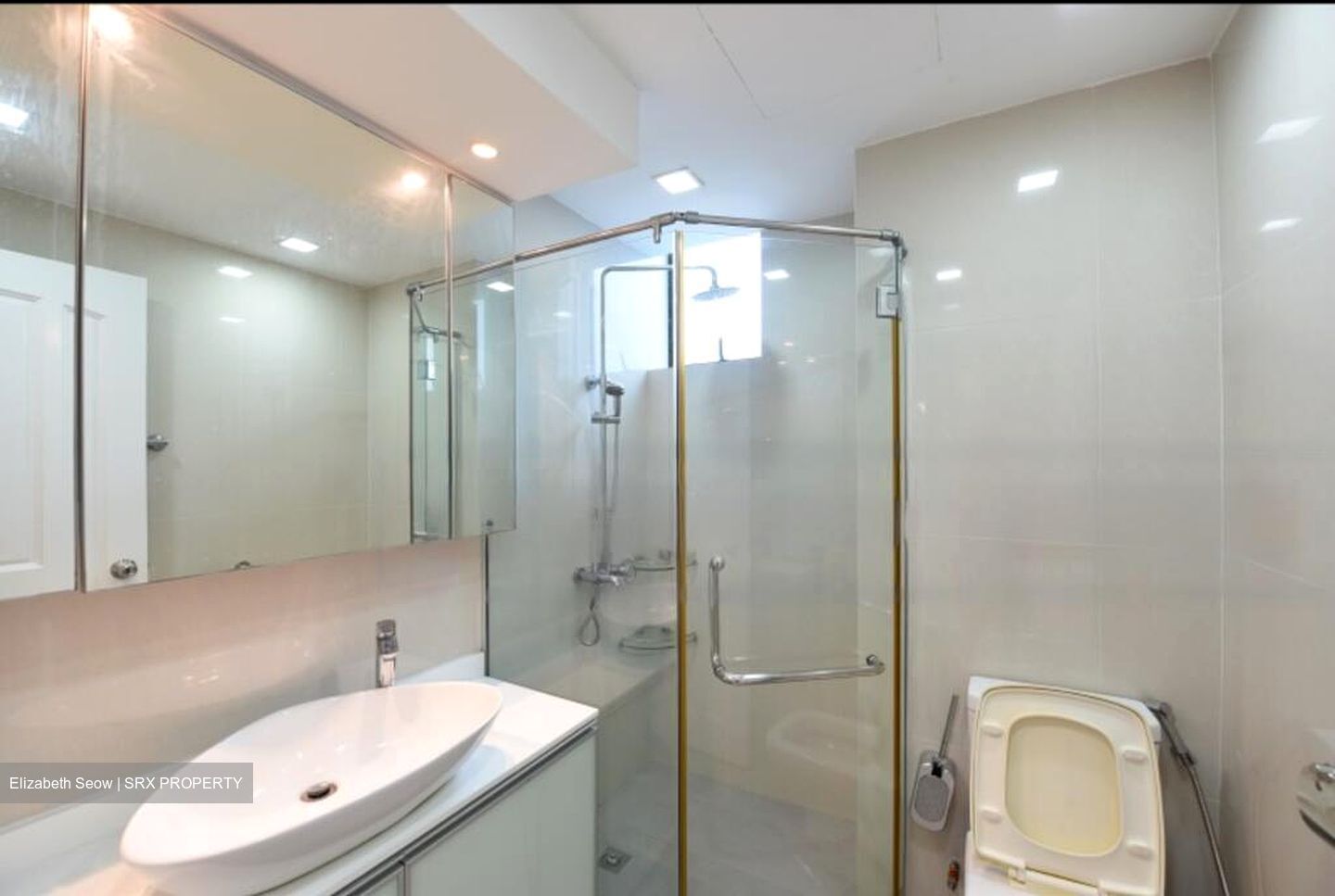 Spring Grove (D10), Condominium #492475901